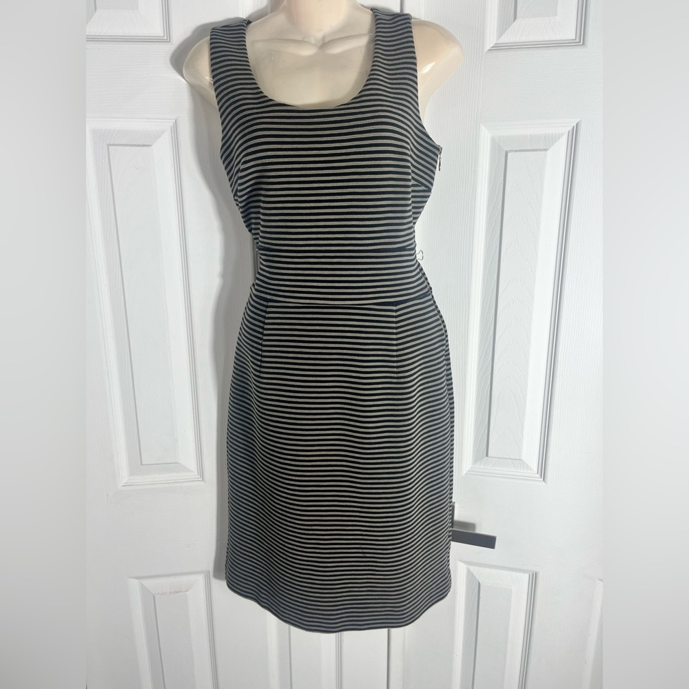 Banana Republic Black and Beige Striped Mini Dress
